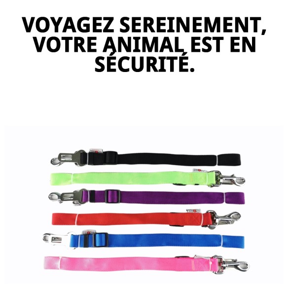 Accessoire de sécurité pour animaux de compagnie : Ceinture 85 x 2,5 cm