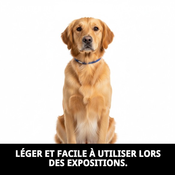 Collier Ramal en Nylon Rond pour Animaux de Compagnie - Qualité et Style