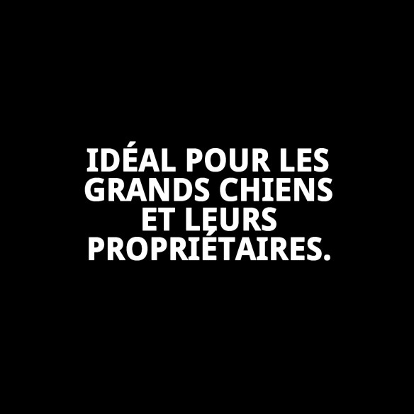 Poignée Confort avec ressort pour grands chiens 45x2,5 cm