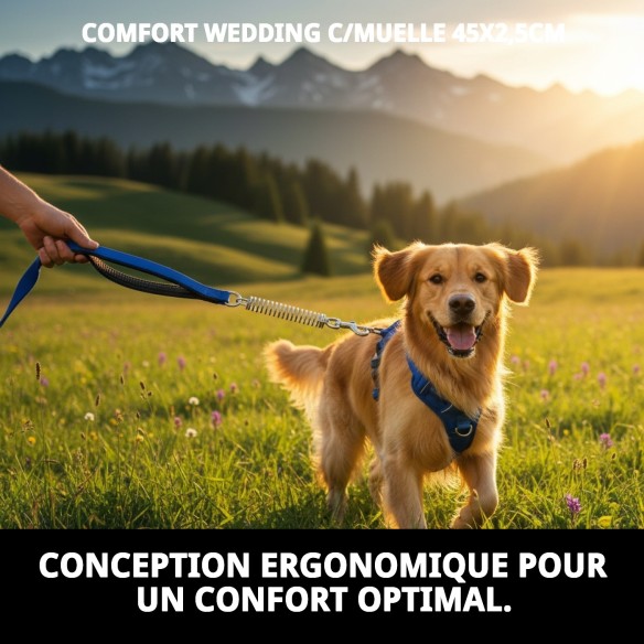 Poignée Confort avec ressort pour grands chiens 45x2,5 cm