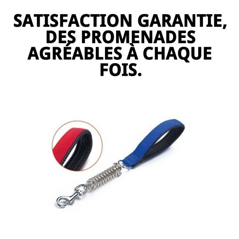 Poignée Confort avec ressort pour grands chiens 45x2,5 cm