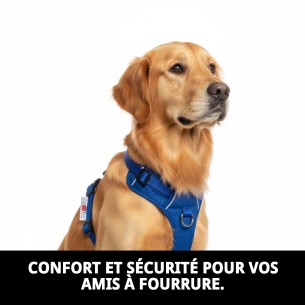 Harna en Nylon Lisse pour Chiens 30-50cm - Confort et Sécurité 2