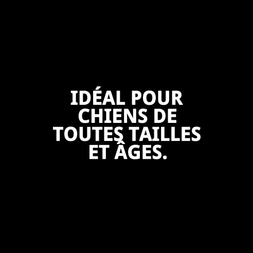 Harna en Nylon Lisse pour Chiens 30-50cm - Confort et Sécurité