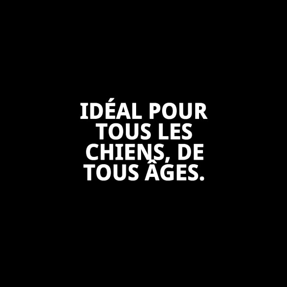 Harna en Nylon Ajustable pour Chiens - Confort et Sécurité