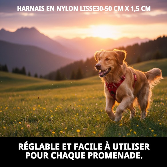 Harna en Nylon Ajustable pour Chiens - Confort et Sécurité