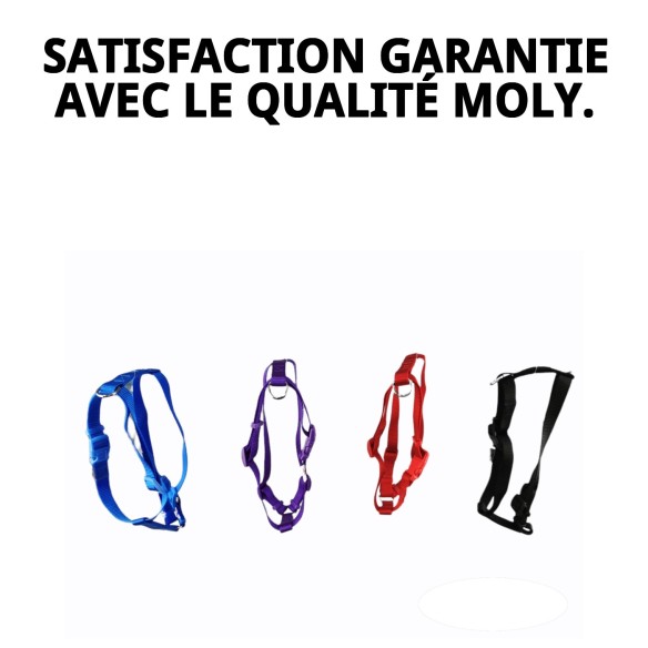 Harna en Nylon Ajustable pour Chiens - Confort et Sécurité