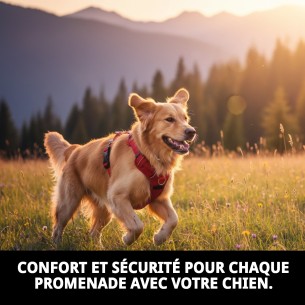 Harnais en Nylon Lisse 50-70 cm Idéal pour Votre Animal de Compagnie 2