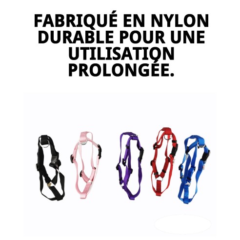 Harnais en Nylon Lisse 50-70 cm Idéal pour Votre Animal de Compagnie