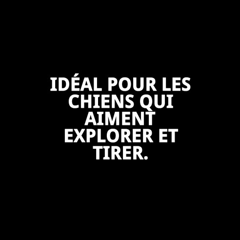 Harnais en Nylon Lisse 50-70 cm Idéal pour Votre Animal de Compagnie