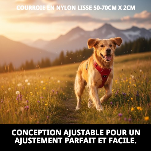 Harnais en Nylon Lisse 50-70 cm Idéal pour Votre Animal de Compagnie