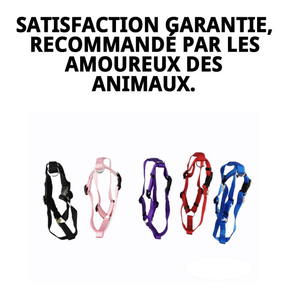 Harnais en Nylon Lisse 50-70 cm Idéal pour Votre Animal de Compagnie