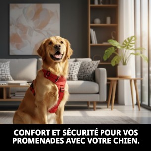 Harnais en nylon lisse 70-90 cm x 2,5 cm pour animaux de compagnie. 2