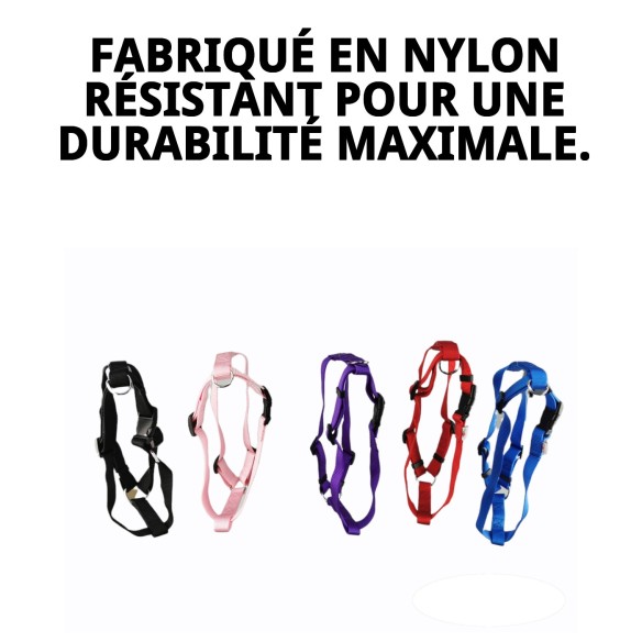 Harnais en nylon lisse 70-90 cm x 2,5 cm pour animaux de compagnie.