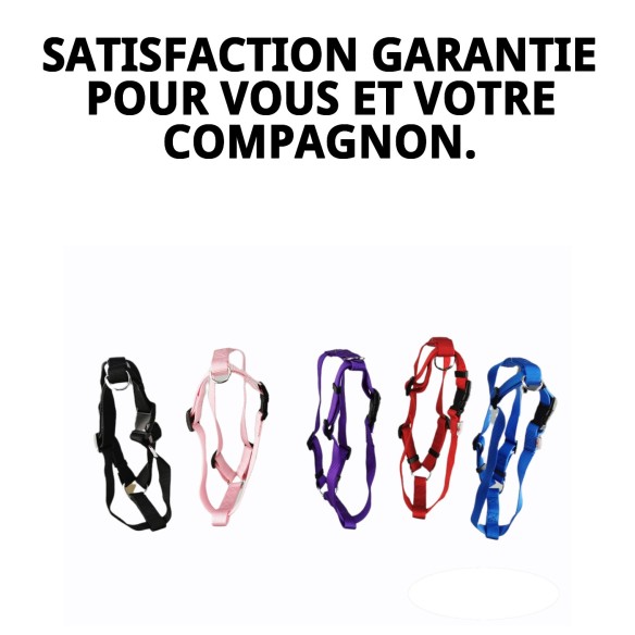 Harnais en nylon lisse 70-90 cm x 2,5 cm pour animaux de compagnie.