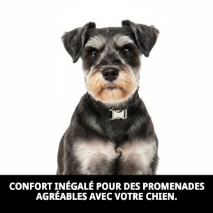 Collier en Nylon Confort pour Chiens - Confort Assuré 2