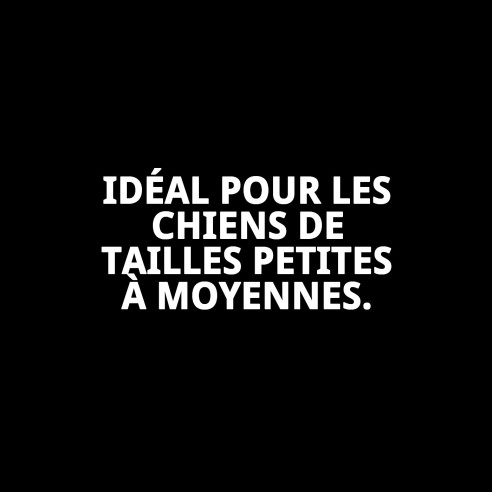 Collier en Nylon Confort pour Chiens - Confort Assuré