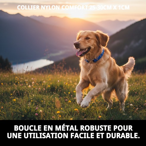 Collier en Nylon Confort pour Chiens - Confort Assuré