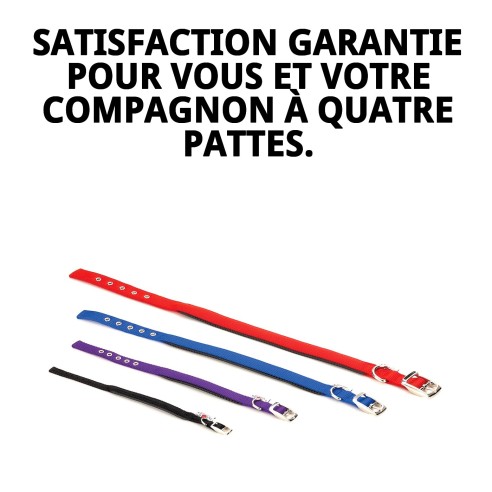 Collier en Nylon Confort pour Chiens - Confort Assuré