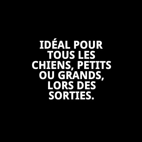 Ramal en Nylon Confort 120x1cm pour Animaux de Compagnie ! Confort Total !