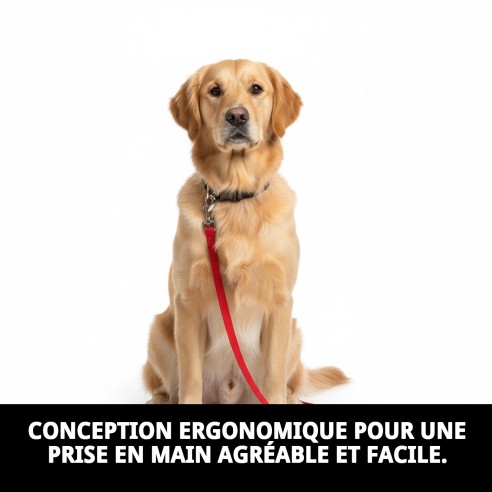 Ramal en Nylon Confort 120x1cm pour Animaux de Compagnie ! Confort Total !