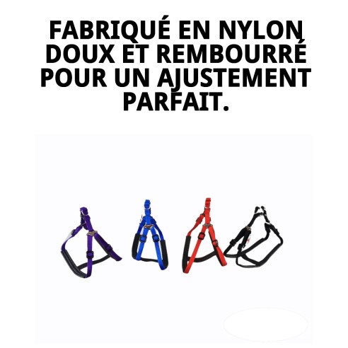 Harnaise en Nylon Confort 1cm : Confort et Style pour votre Chien