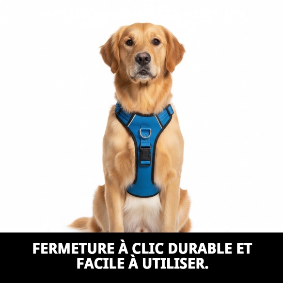 Harnaise en Nylon Confort 1cm : Confort et Style pour votre Chien