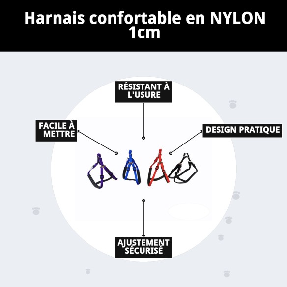 Harnaise en Nylon Confort 1cm : Confort et Style pour votre Chien