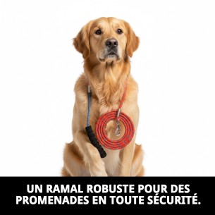 Ramal en Nylon Rond 120cm x 0,80cm pour Animaux de Compagnie 2