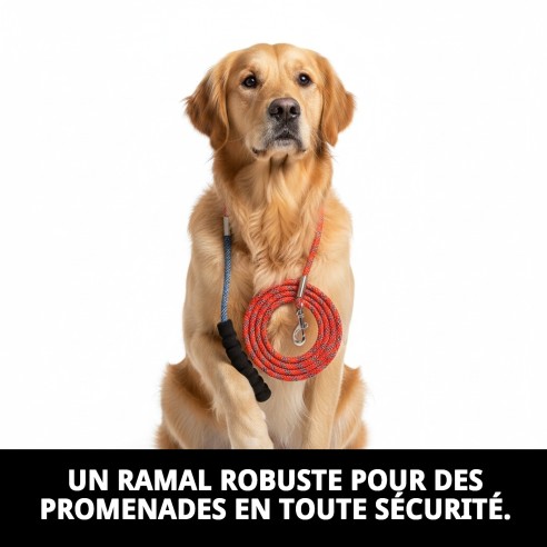 Ramal en Nylon Rond 120cm x 0,80cm pour Animaux de Compagnie