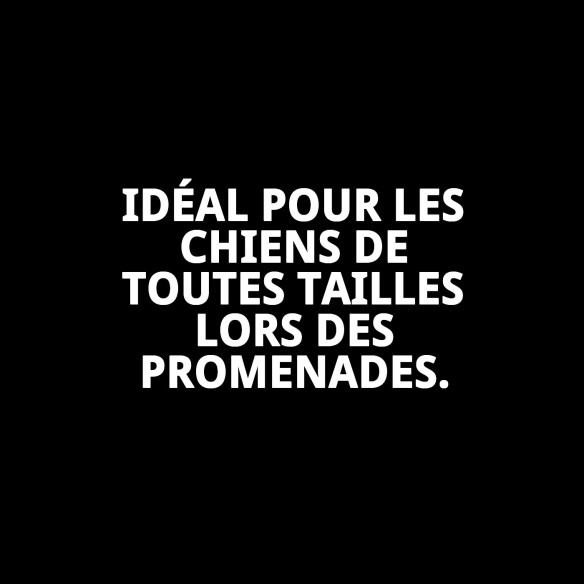 Ramal en nylon rond 120 cm x 1,3 cm pour animaux de compagnie.