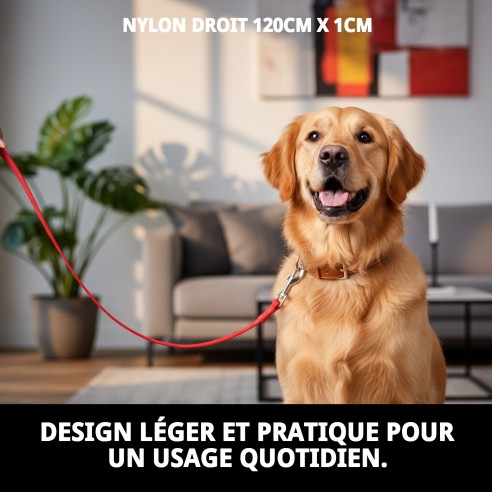 Ramal en Nylon Lisse 120cm x 1cm pour Animaux de Compagnie en Sécurité