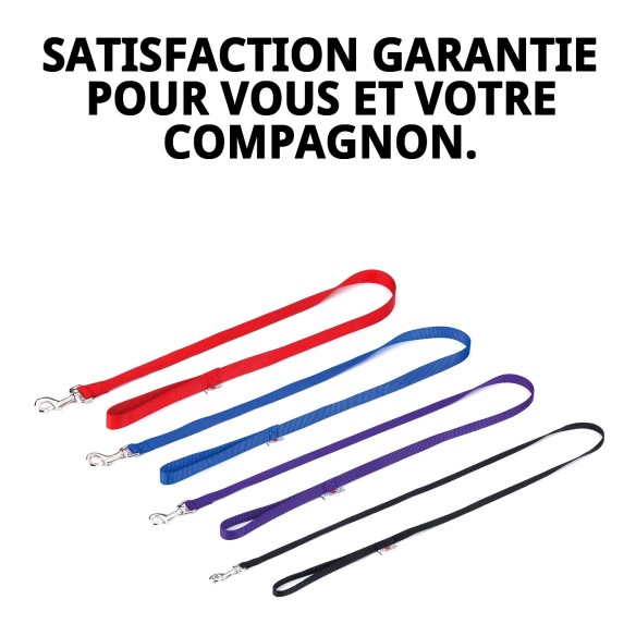 Ramal en Nylon Lisse 120cm x 1cm pour Animaux de Compagnie en Sécurité