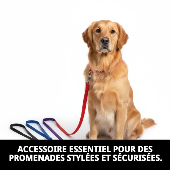 Sangle en nylon lisse 120 cm x 1,5 cm pour animaux de compagnie