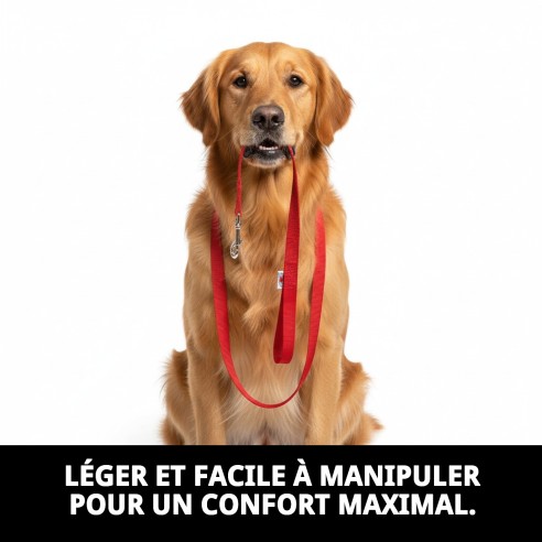 Sangle en nylon lisse 120 cm x 1,5 cm pour animaux de compagnie
