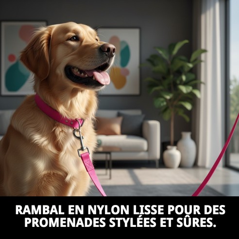 Ramal en Nylon Lisse Rose 120 cm x 2 cm pour Animaux de Compagnie