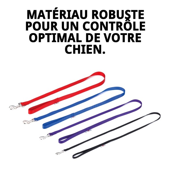 Ramal en Nylon Lisse Rose 120 cm x 2 cm pour Animaux de Compagnie