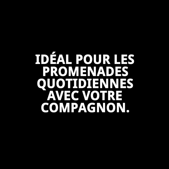 Ramal en Nylon Lisse Rose 120 cm x 2 cm pour Animaux de Compagnie