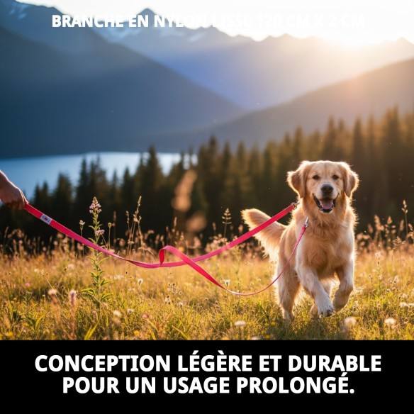 Ramal en Nylon Lisse Rose 120 cm x 2 cm pour Animaux de Compagnie