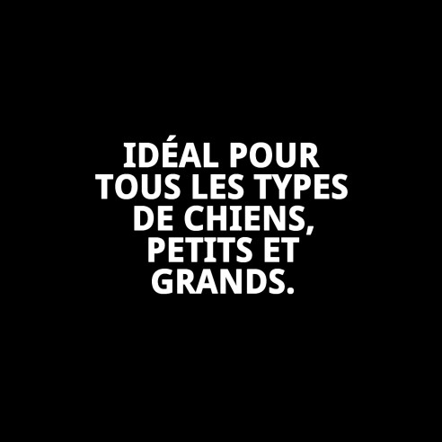 Rameau en nylon lisse 120 cm x 2,5 cm pour animaux de compagnie