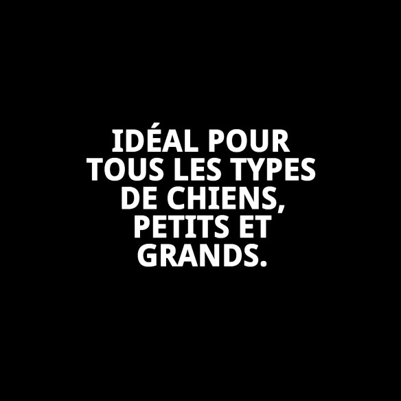 Rameau en nylon lisse 120 cm x 2,5 cm pour animaux de compagnie