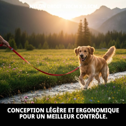 Rameau en nylon lisse 120 cm x 2,5 cm pour animaux de compagnie