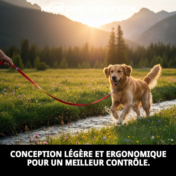 Rameau en nylon lisse 120 cm x 2,5 cm pour animaux de compagnie