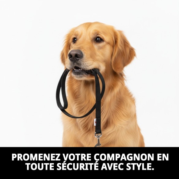 Rameau Lisse en Nylon 60 cm x 2,5 cm pour Animaux de Compagnie
