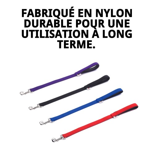 Rameau Lisse en Nylon 60 cm x 2,5 cm pour Animaux de Compagnie