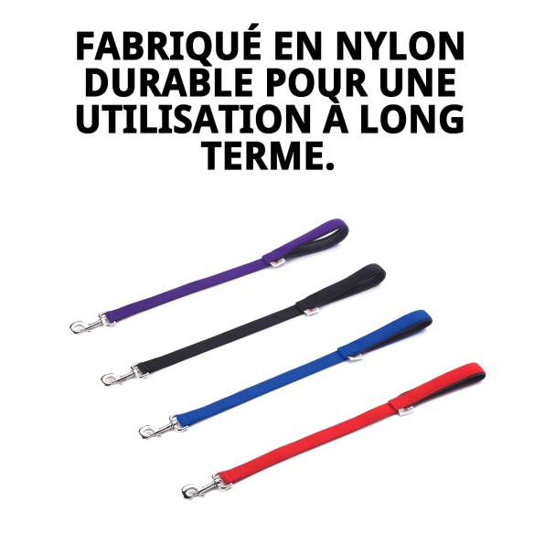 Rameau Lisse en Nylon 60 cm x 2,5 cm pour Animaux de Compagnie