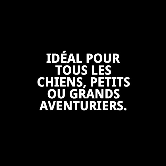 Rameau Lisse en Nylon 60 cm x 2,5 cm pour Animaux de Compagnie