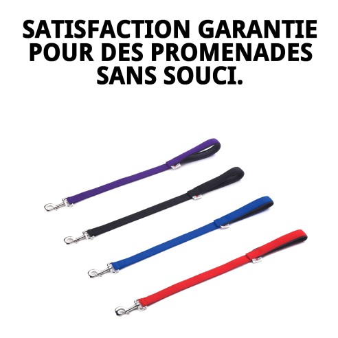 Rameau Lisse en Nylon 60 cm x 2,5 cm pour Animaux de Compagnie