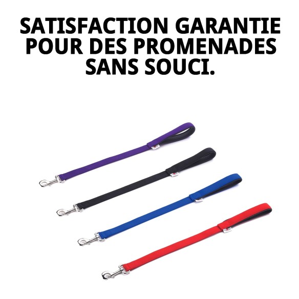 Rameau Lisse en Nylon 60 cm x 2,5 cm pour Animaux de Compagnie