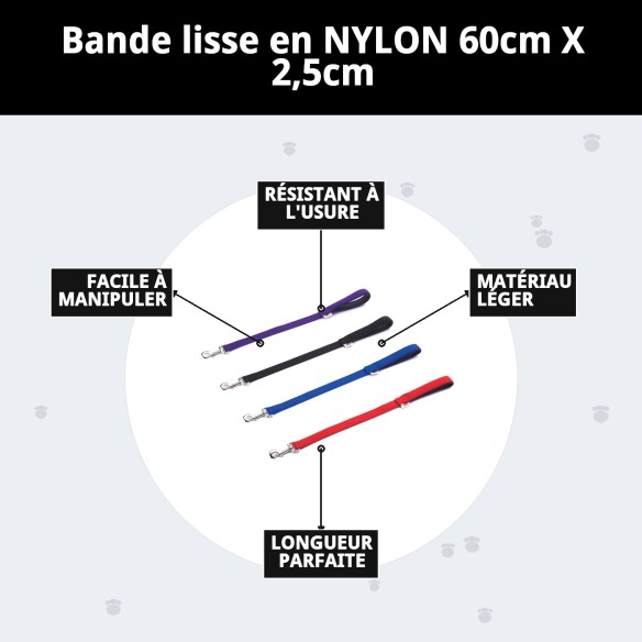 Rameau Lisse en Nylon 60 cm x 2,5 cm pour Animaux de Compagnie