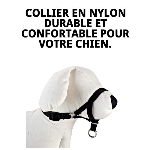 Collier Dog Control N.1 24 cm : Éducation Efficace